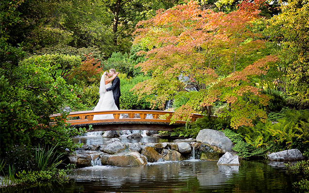 Hochzeitfotos in Wien Setagaya Park